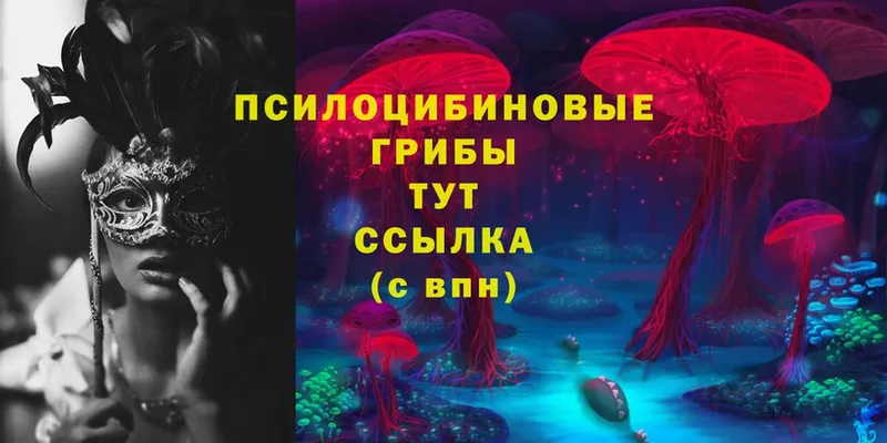 Галлюциногенные грибы MAGIC MUSHROOMS  Владимир 